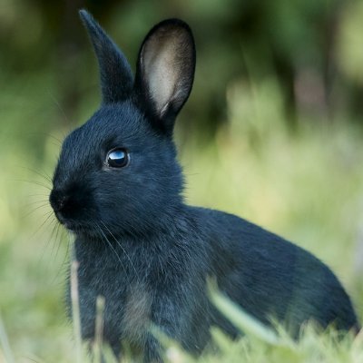 Tweet from @vrycmfy about Keycard Shell